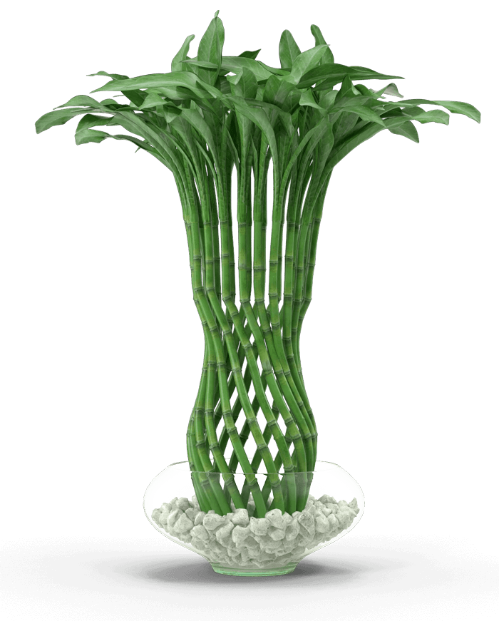 Un modello 3d di una pianta di bambù in un vaso.