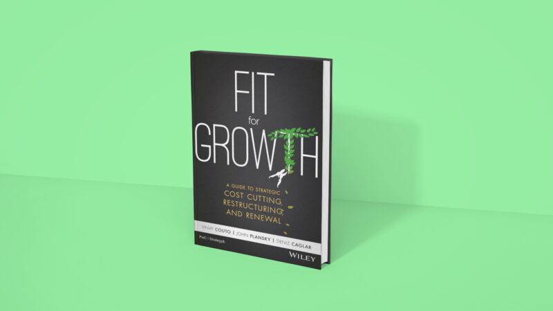 Fit for Growth - Vinay Couto