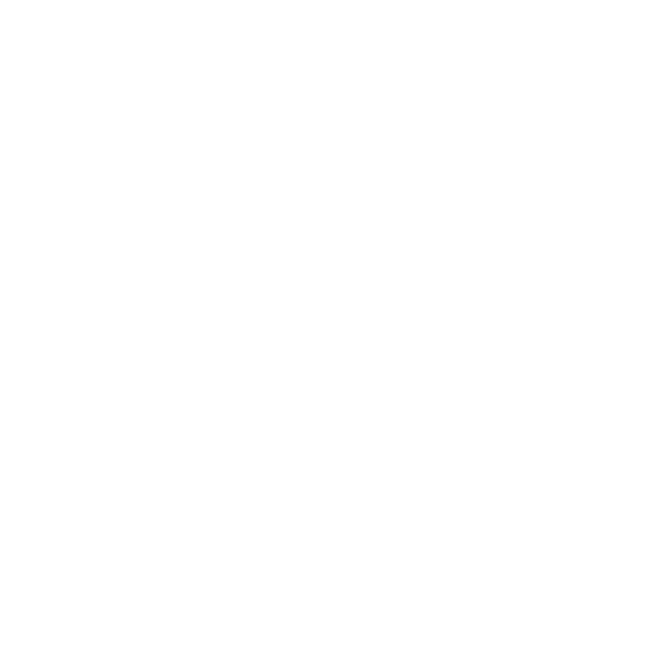 D&D Holding